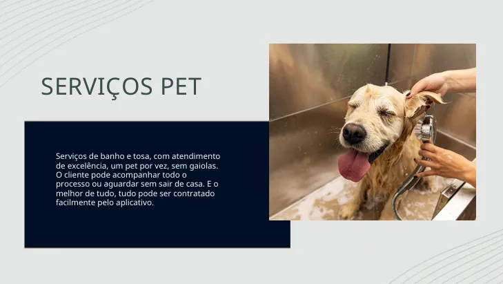 Serviços Pet — Serviço exclusivo Jardim da Hípica